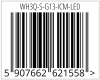 Kod EAN dla WH3Q-S-G13-ICM-LED